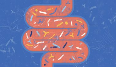 [OFFICILAB] Probióticos: o que é, benefícios e como manipular